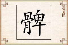 髀怎么写