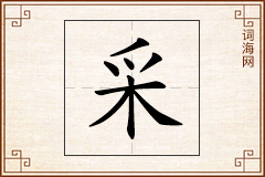 采怎么写