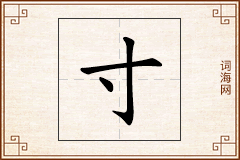 寸怎么写