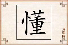 懂怎么写