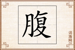 腹怎么写
