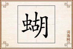 蝴怎么写