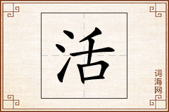 活怎么写