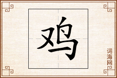 鸡怎么写