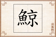 鯨怎么写