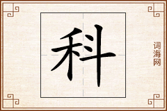科怎么写