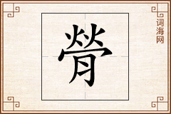 膋怎么写