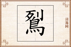 鴷怎么写