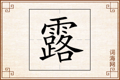 露怎么写