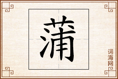 蒲怎么写