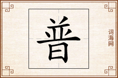 普怎么写