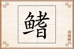 鳍怎么写