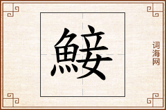 鯜怎么写