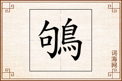 鴝怎么写