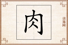 肉怎么写