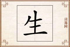 生怎么写