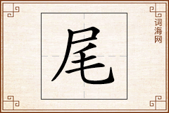尾怎么写