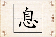 息怎么写