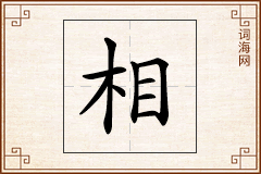 相怎么写