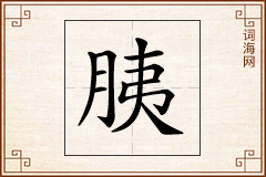 胰怎么写
