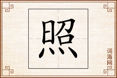 照怎么写