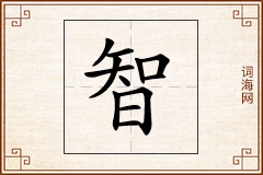 智怎么写