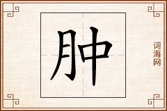 肿怎么写