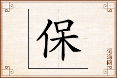 保怎么写